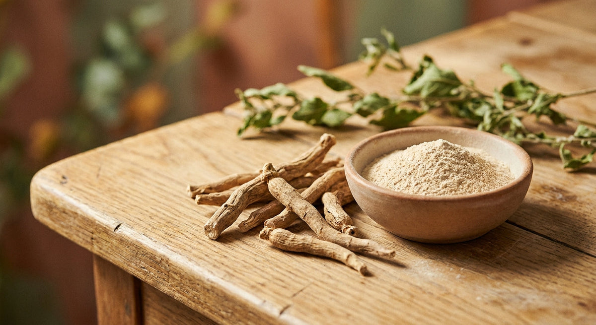 Ashwagandha gyökér és por – adaptogén növény stressz és alvás támogatására