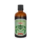 Ginkgo Biloba kivonat – Ginkgo Biloba Max (100 ml)